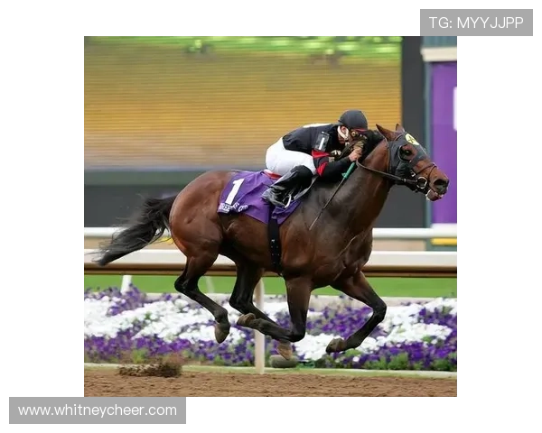 竞博体育赛事直播与竞猜攻略：掌握实用技巧赢取更多奖金