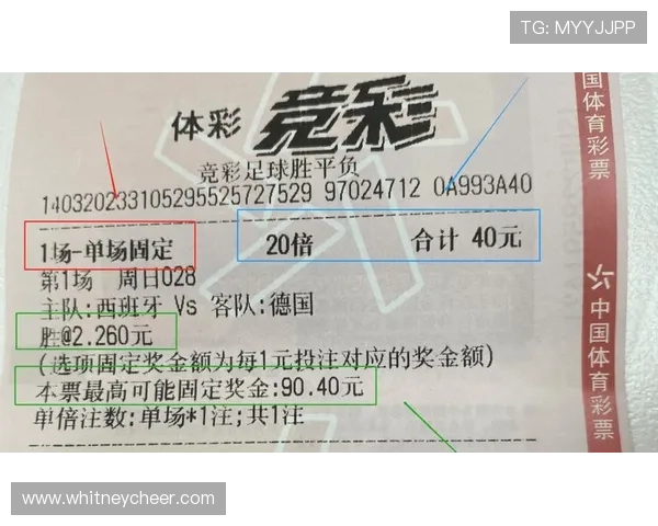 如何利用体彩足球竞猜世界杯活动增加投注乐趣与中奖机会